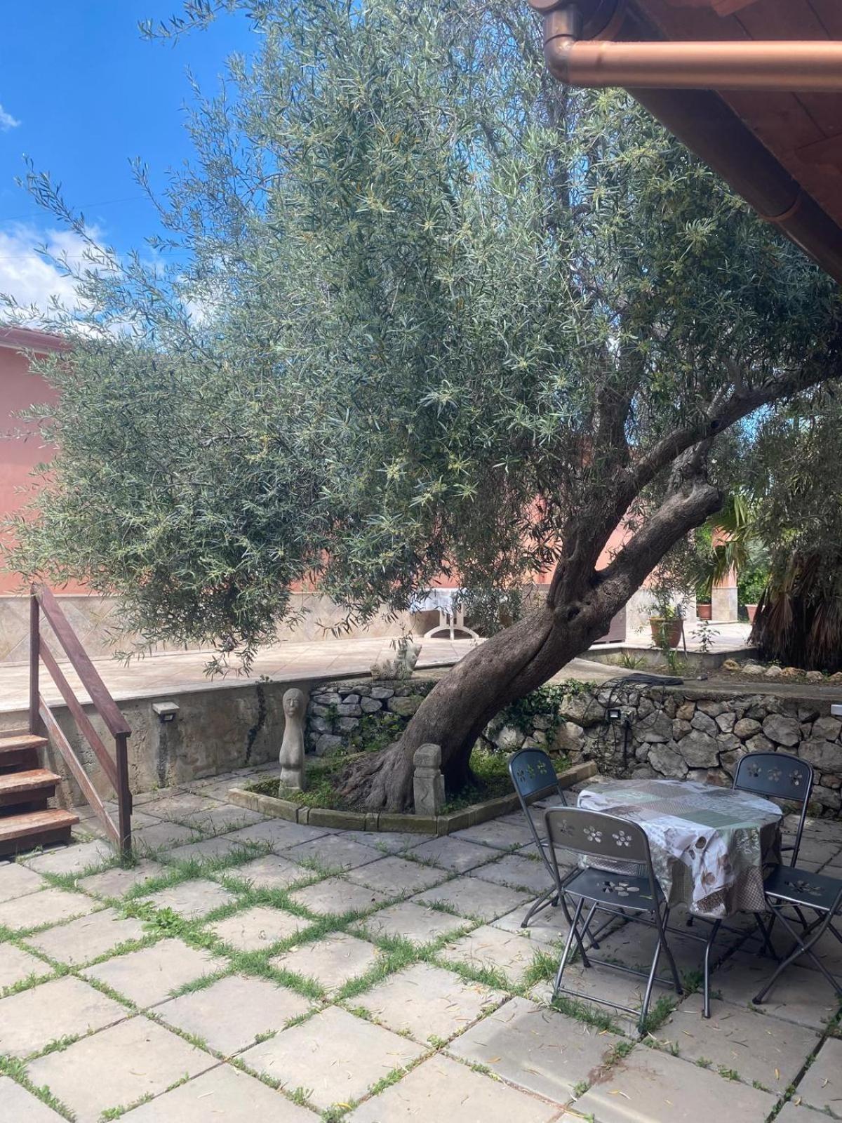 Villa Rosa Canicattini Bagni Екстер'єр фото